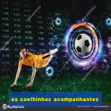 as coelhinhas acompanhantes